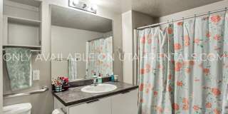 843 E 620 N Gallery 11