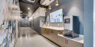 The Shale Gallery 28