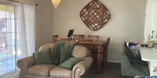 3312 Avensong Village Circle Gallery 5