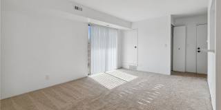 ReNew Woodland North and South Gallery 13