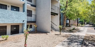 Portola East Mesa Gallery 17