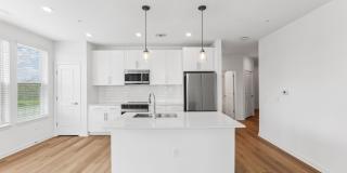 Mosby at Avalon Park Gallery 12