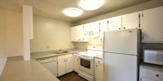 SHORT TERM RENTAL FOR SPRING 2026! 3 Bedroom, 2 Bathroom Penthouse Condo Gallery 22