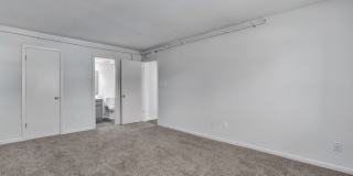 Magnolia Row Gallery 49