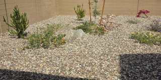 12518 W CASSIA Trail Gallery 44