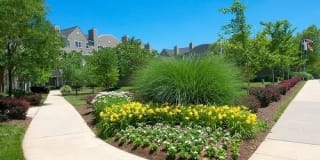 Stonehaven Gallery 7