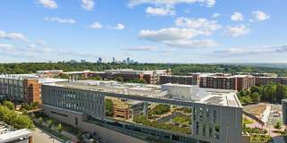 2441 Campus Shore Drive unit: 309 Gallery 42