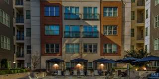 Arabelle Perimeter Gallery 13