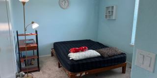 Spacious 4BR House in Parker Gallery 10
