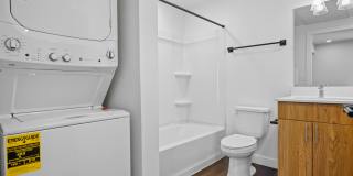 The Olive The Olive Gallery 31