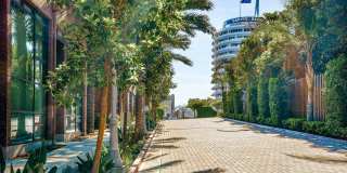 Arrive Hollywood Arrive Hollywood Gallery 49