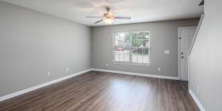 Dana Downs Gallery 8