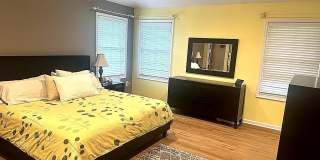 16 POPLAR DRIVE Gallery 26