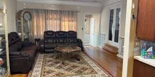 118 Swarthmore Terrace Gallery 2