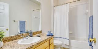 Silver Springs Gallery 8