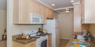 Beverly Arnaz Gallery 5