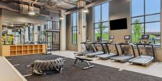 Aria on the Row Gallery 27