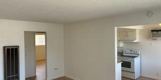 Maple 2 Gallery 1