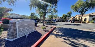 21448 N 75TH Avenue Gallery 3