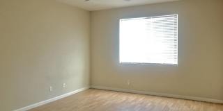 3740 Pintail Dr Gallery 5