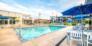 Olympus at Daybreak Gallery 22