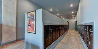 Matador Gallery 42