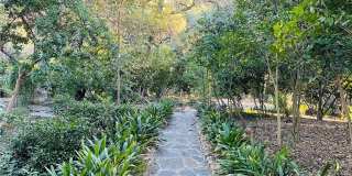 4110 Woodleigh Lane Gallery 28
