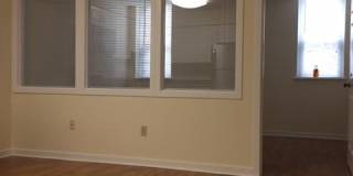 Chestnut Hill East Gallery 19
