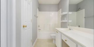 10519 Yellow Rose Lane - 1 10519 Yellow Rose Lane - 1 Gallery 6