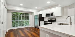 Peachtree Park Apartments Gallery 8