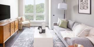 Noko Gallery 12