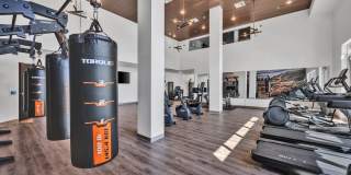 Ocean Creek Gallery 37