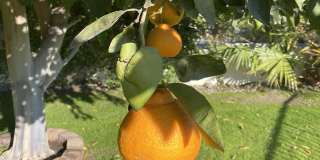 50500 Cypress Point Drive Gallery 13