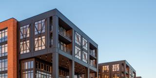 Otis Gallery 29