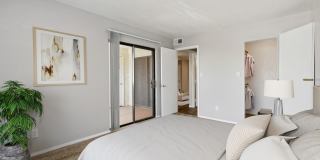 Twin Palms Gallery 47