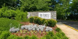 The Forest Apartments Gallery 39