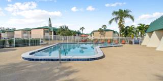 Buena Vista Gallery 85