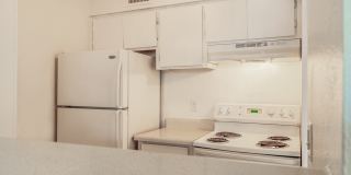 Rise Lakeside Gallery 50