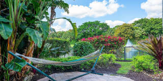 123 Sunesta Cove Drive Gallery 49