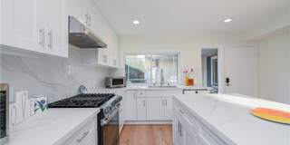 15 Camphor S Gallery 1
