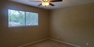 4318 WINDSWEPT Gallery 26