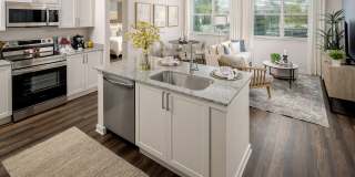 The Carmina Gallery 8