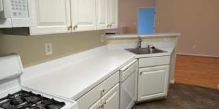 10715 Symphony Way Gallery 12