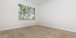 Autumn Wood Gallery 13