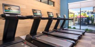 The Strand Gallery 29