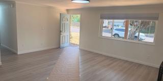 Comfortable Vancouver Living Near Parks, Recreation & Everyday Conveniences Gallery 4