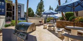 Enclave at Paradise Valley Gallery 26