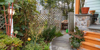 51 Osborne Avenue Gallery 23