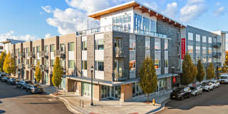 Westline Gallery 11