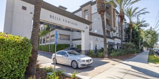 Belle Fontaine Gallery 4